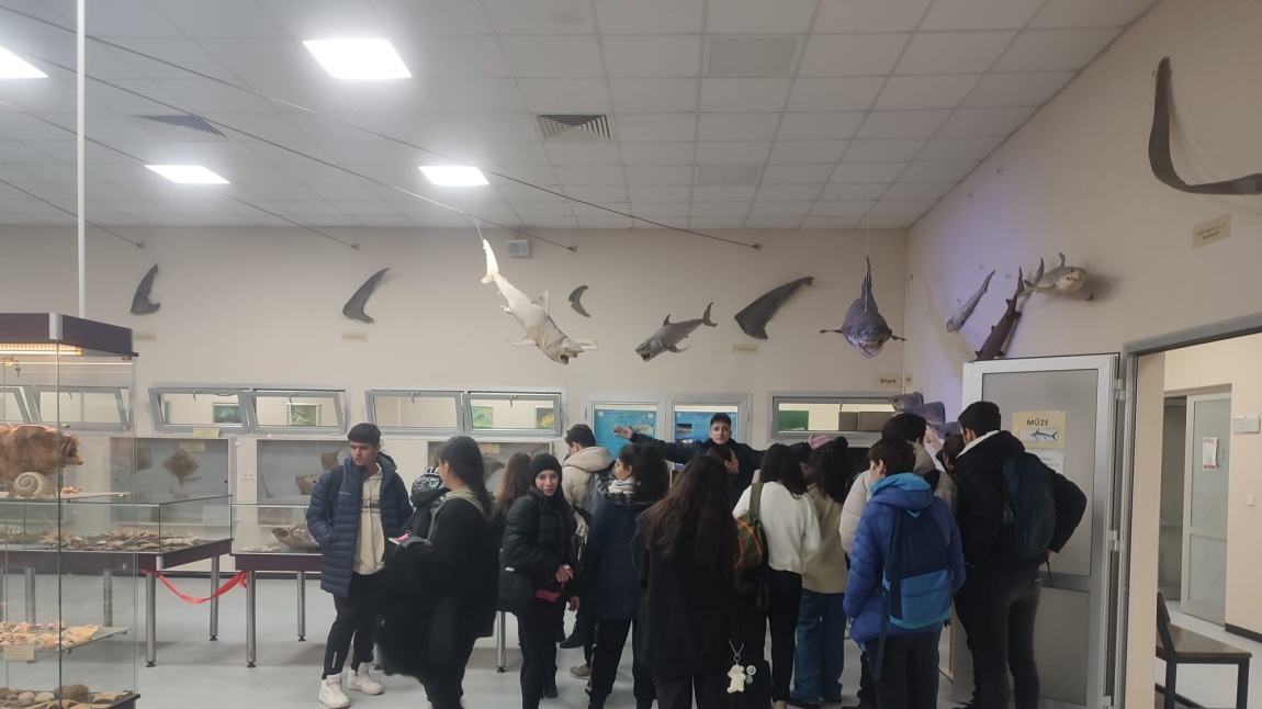 Katip Çelebi Üniversitesi Deniz Canlıları Müzesi Gezisi